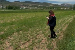 Aydıntepe’de ürün tespit çalışmaları sürüyor