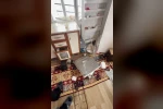 Ayılar Trabzon’da yaylalardan sonra mahallelere dadandı