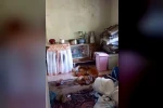 Ayılar yerleşim alanlarına indi, yöre halkı endişeli