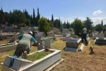 Ayvalık Belediyesi Kurban Bayramı hazırlıklarını tamamladı