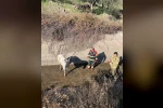 Ayvalık’ta itfaiyeden at kurtarma operasyonu 