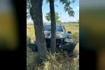 Babaeski’de ağaçlara çarpan otomobilin sürücüsü yaralandı