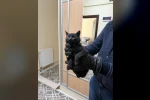 Bacaya giren kedi 6 saatlik sonunda kurtarıldı