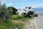 Bağa giren tır şaha kalktı