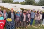 Bağlarda siren sesi yankılandı