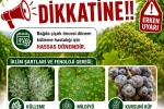 Bağlarda üreticilere ilaçlama uyarısı