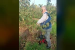 Bahçelerde toprak analizi ve zararlı tespiti