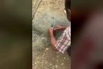 Balık ağında mahsur kılan yılanı elleriyle kurtardı
