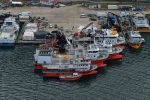 Balık av sezonu biterken, balıkçılar sezonu değerlendirdi