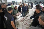 Balık mezadında hareketlilik: Kasalar dolusu balıklar kapışıldı