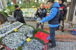 Balık tezgâhları yakın takipte
