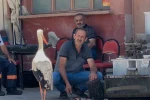 Balıkçı Ahmet ile leyleğin 10 yıllık kahvehane randevusu