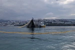 Balıkçılıkta genel av yasağı 15 Nisan’da başladı 