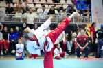 Balıkesır’de 15 Temmuz ruhu ile taekwondo poomsae heyecanı başladı