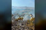 Balıkesir’de bir günde 7 farklı alanda yangın çıktı