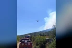 Balıkesir’de bir orman yangını daha