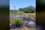 Balıkesir’de ot yangını korkuttu