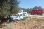Balıkesir’de otomobil zeytin ağacına çarptı: 2 yaralı