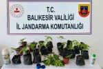 Balıkesir’de uyuşturucu operasyonlarında 64 şüpheli yakalandı