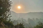 Balıkesir’deki yangında gökyüzünü dumanlar kapladı