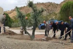 Baltacı Mehmet Paşa anısına asırlık zeytin ağacı dikildi