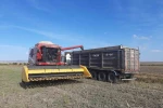Bandırma Merinos’ta ayçiçeği hasadı tamamlandı