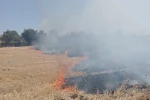 Bandırma’da anız ve çalılık alanda çıkan yangın söndürüldü
