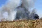 Bandırma’da otluk alanda çıkan yangın söndürüldü