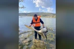 Barajda mahsur kalan pelikan böyle kurtarıldı