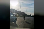 Başıboş at ana yolda trafiği tehlikeye attı