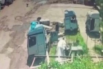 Başıboş köpekler önce küçük çocuğa şimdi de yaşlı adama saldırdı