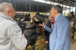 Başkan Eyüp Kahveci’den Kurban Pazarı ziyareti