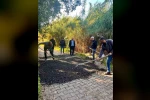 Başkan Yıldırımkaya, çalışmaları yerinde inceledi