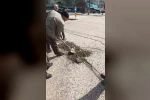 Başkentte belediyeden umudu kesen vatandaşlar köstebek yuvasına dönen yolları kendileri onardı