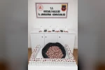 Baskında 25 bin 500 sentetik hap ele geçirildi