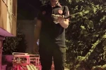 Batman’da ağaçta asılı kalan güvercin itfaiye ekiplerince kurtarıldı