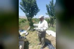 Batman’da bir vatandaş yakaladığı yılanı doğaya bıraktı