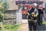 Batman’da fabrika duvarına sıkışan köpek kurtarıldı, işçiler hayvanı sahiplendi