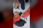 Batman’da yaramaz kedi kafasını tenekeye sıkıştırdı, itfaiye kurtardı