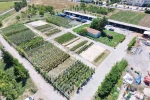 Battalgazi Belediyesi parklarda kendi üretimini kullanıyor
