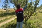 Bayburt’ta hasat öncesi pestisit denetimleri başladı 