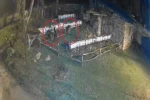 Bayburt’ta iki farklı arılığı talan eden ayılar köpek havlayınca kaçtı