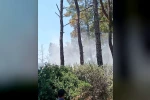 Bayındır’da orman yangını kontrol altında