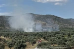 Bayındır’da zeytinlik alanda yangın