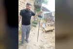 Baykan’da yılan paniği