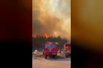 Bayramiç’te orman yangını