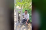 Belçika kurdunu zehirleyip direğe asarak telef ettiler