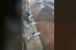 Belediyenin bisikletlerine böyle zarar verdiler