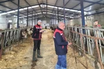 Besicilik işletmelerine yönelik ‘kapasite ölçümleri’ devam ediyor