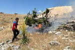 Besni’de 50 dönümlük alan yandı